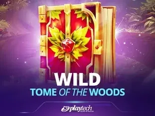 Wild Tome Of The Woods game thumbnail